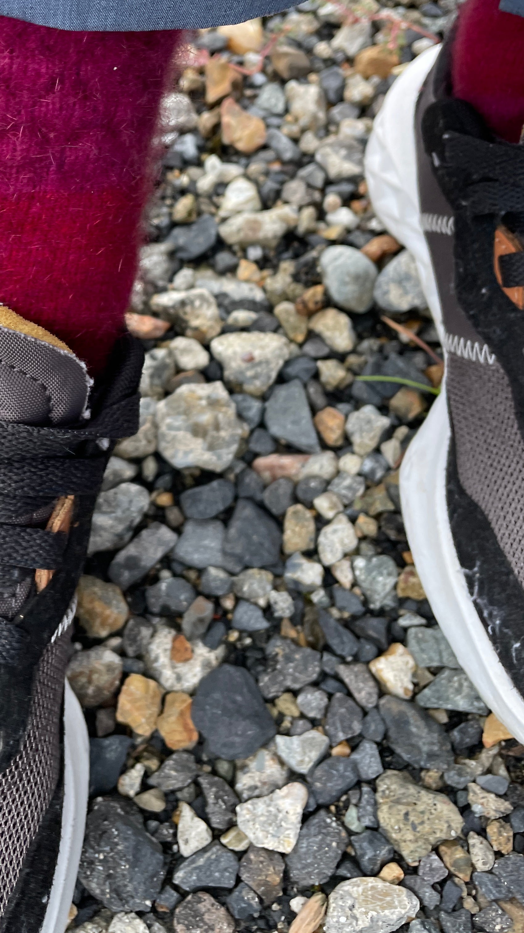 冬の必需品ポッサムメリノ靴下の選び方とおすすめ