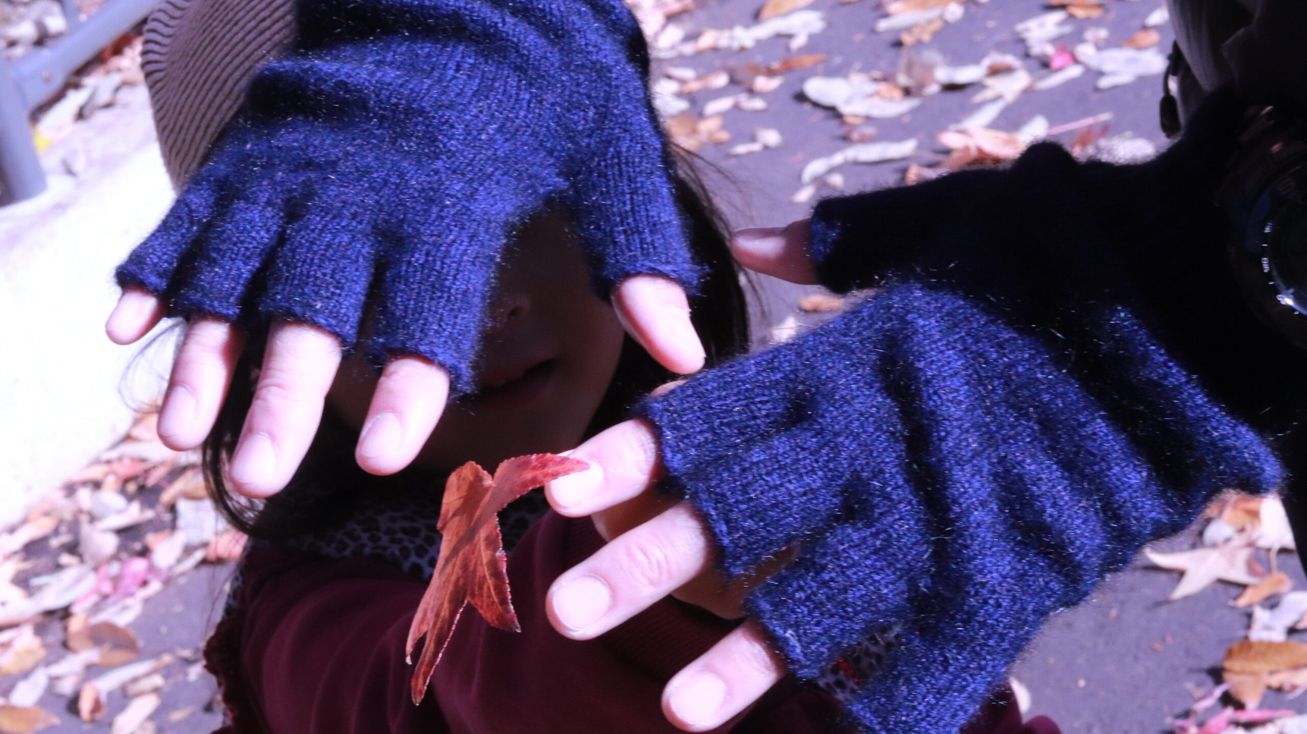 極上の防寒天然素材”ポッサムメリノ”とは?