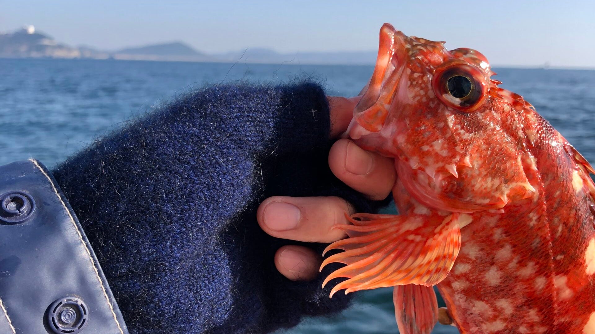 極寒の船釣りでポッサムメリノの実力をテスト